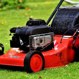 Garden Clippings: Getting Your Garden Ready In February Image